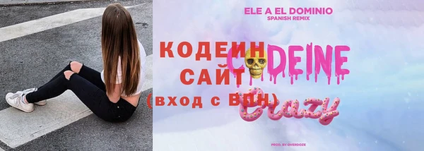 apvp Алзамай