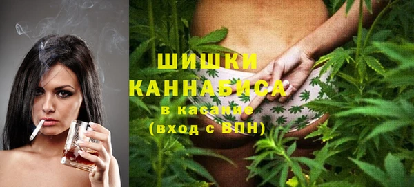 apvp Алзамай