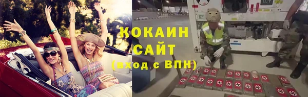 apvp Алзамай